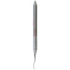 1 Springfield Anterior