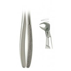 FIG.186R Lower Molars