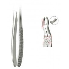 #67 Upper Third Molars
